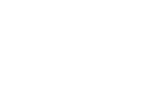 Passion for palms